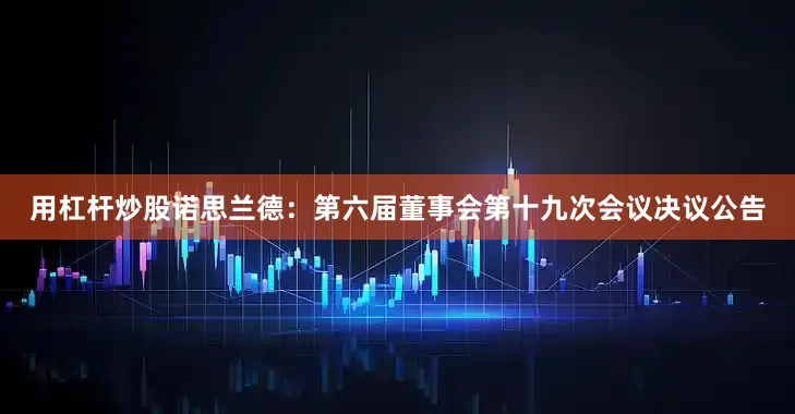 用杠杆炒股诺思兰德：第六届董事会第十九次会议决议公告
