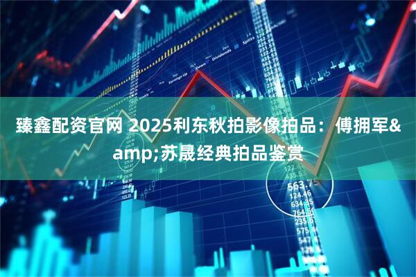 臻鑫配资官网 2025利东秋拍影像拍品：傅拥军&苏晟经典拍品鉴赏