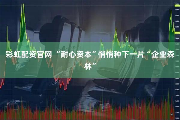 彩虹配资官网 “耐心资本”悄悄种下一片“企业森林”