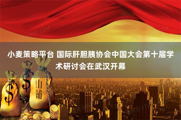 小麦策略平台 国际肝胆胰协会中国大会第十届学术研讨会在武汉开幕